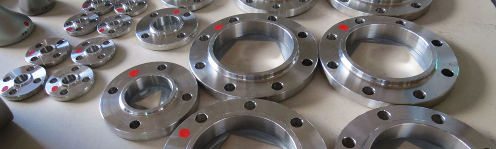 Hastelloy C4/C22/C276 Flanges