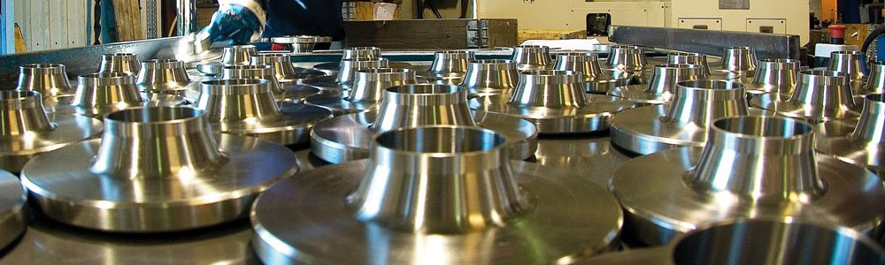 Stainless Steel 304 & 304L & 304H Flanges